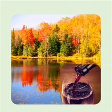 Fall Painting | Cabernet | Wine tasting